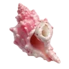 🐚 Эмодзи «Treasures from the Sea» для Telegram