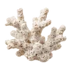 🦪 Эмодзи «Treasures from the Sea» для Telegram
