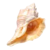 🦪 Эмодзи «Treasures from the Sea» для Telegram