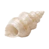 🦪 Эмодзи «Treasures from the Sea» для Telegram