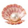🦪 Эмодзи «Treasures from the Sea» для Telegram