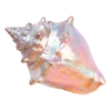 🦪 Эмодзи «Treasures from the Sea» для Telegram