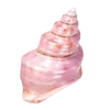 🐚 Эмодзи «Treasures from the Sea» для Telegram