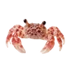 🦀 Эмодзи «Treasures from the Sea» для Telegram