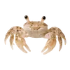 🦀 Эмодзи «Treasures from the Sea» для Telegram