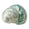 🐚 Эмодзи «Treasures from the Sea» для Telegram