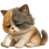 😵‍💫 Эмодзи «Трехцветный котик» для Telegram