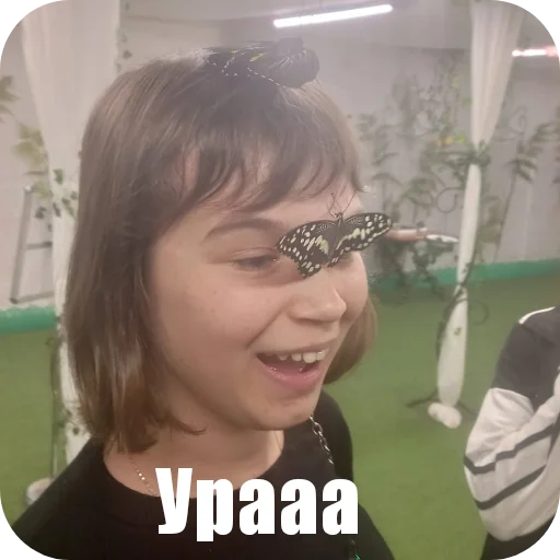 Стикерпак Трич для Telegram