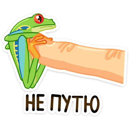 Стикер 23 Квакша