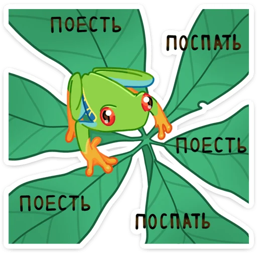 Стикер 24 Квакша