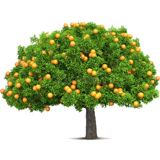 🌳 Стикер «Trees Nature» для Telegram