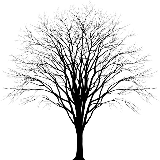 🌳 Стикер «Trees Nature» для Telegram
