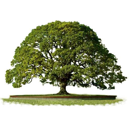 🌳 Стикер «Trees Nature» для Telegram