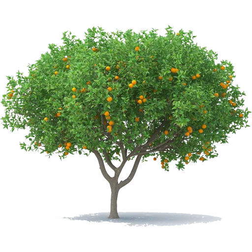 🌳 Стикер «Trees Nature» для Telegram