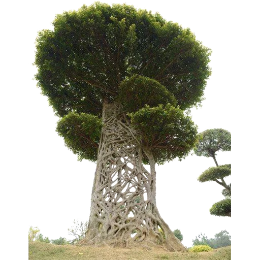 🌳 Стикер «Trees Nature» для Telegram
