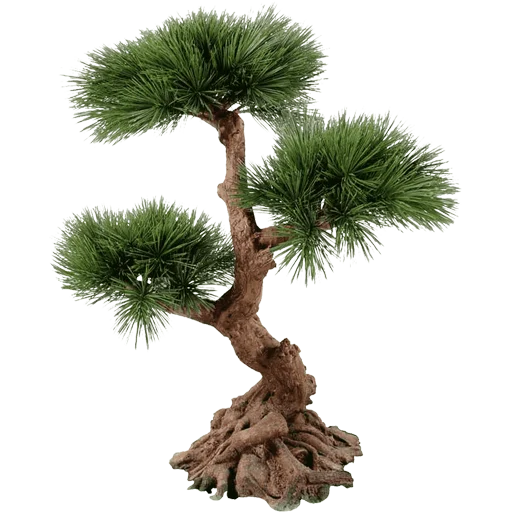 🌳 Стикер «Trees Nature» для Telegram