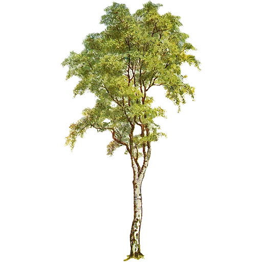 🌳 Стикер «Trees Nature» для Telegram
