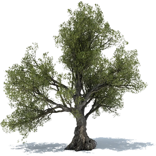 🌳 Стикер «Trees Nature» для Telegram
