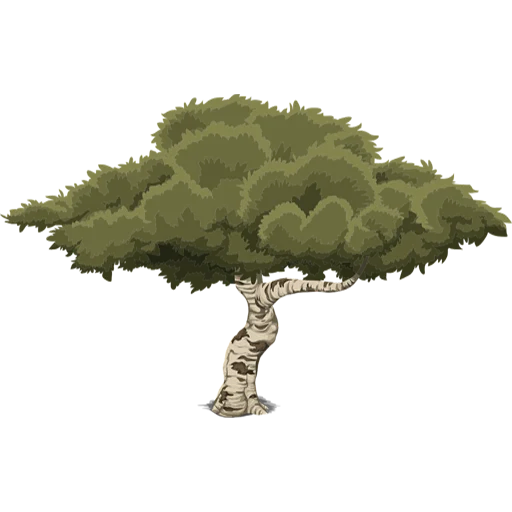 🌳 Стикер «Trees» для Telegram
