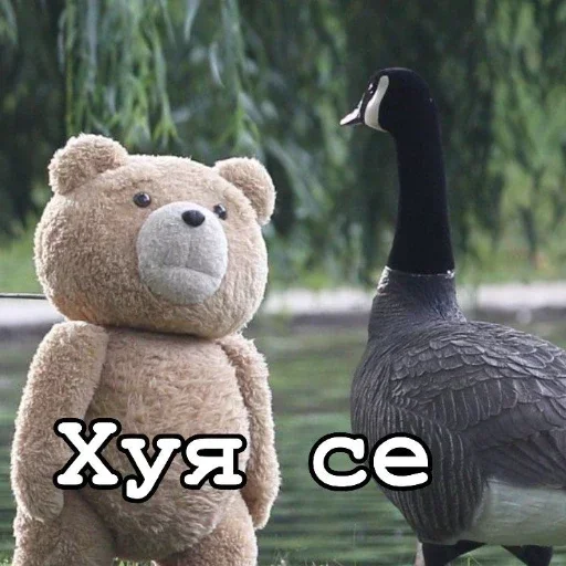 😯 Стикер «Teddy» для Telegram