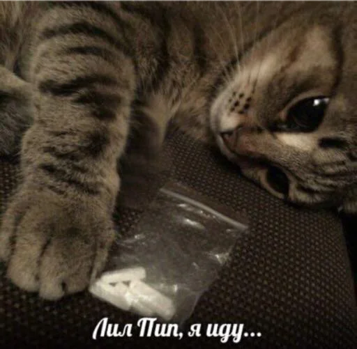 ⚰️ Стикер «TRIP CHAT» для Telegram