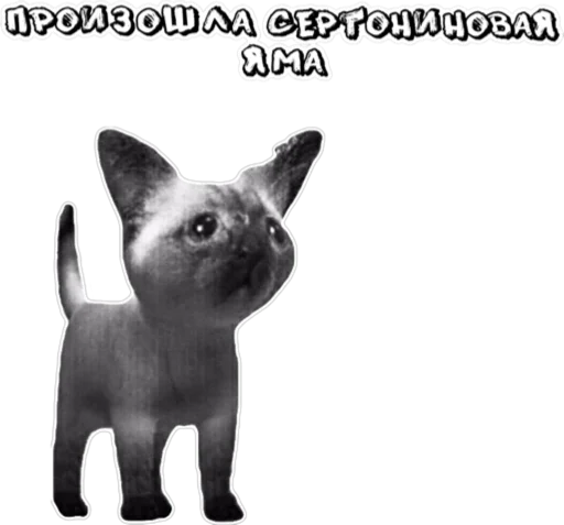 🥲 Стикер «TRIP CHAT» для Telegram