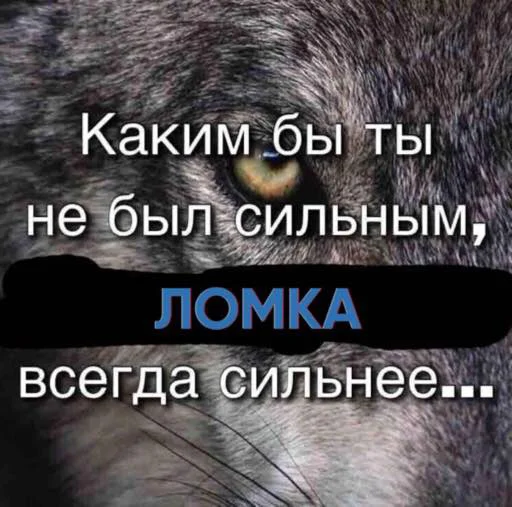 🐺 Стикер «TRIP CHAT» для Telegram