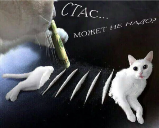🥺 Стикер «TRIP CHAT» для Telegram