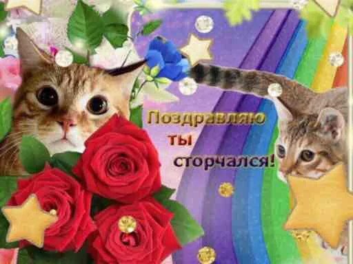 🥳 Стикер «TRIP CHAT» для Telegram