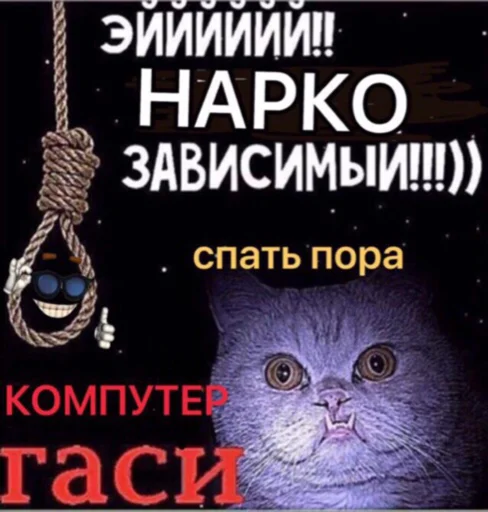 💡 Стикер «TRIP CHAT» для Telegram