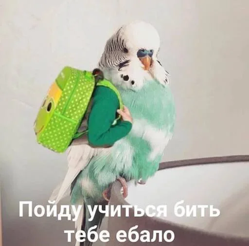 Стикерпак Outrageous для Telegram