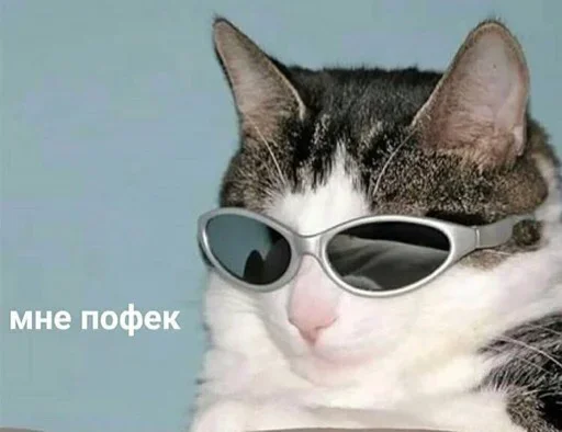 😚 Стикер «Outrageous» для Telegram