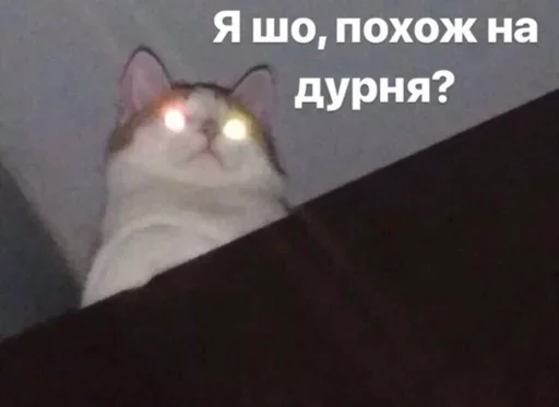 😍 Стикер «Outrageous» для Telegram