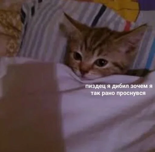 😁 Стикер «Outrageous» для Telegram