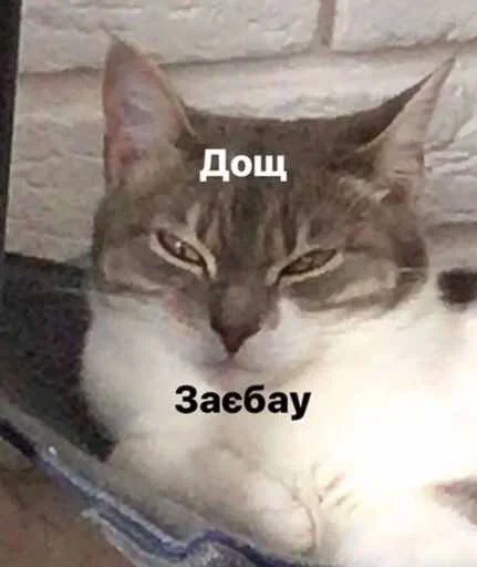 😚 Стикер «Outrageous» для Telegram