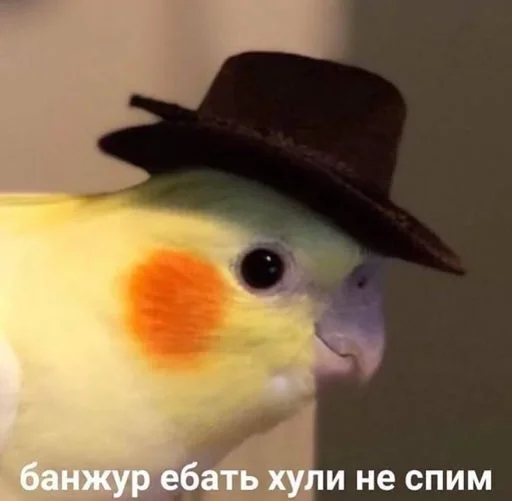 😌 Стикер «Outrageous» для Telegram