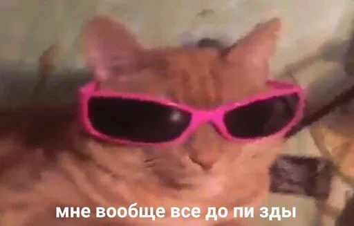 🤪 Стикер «Outrageous» для Telegram