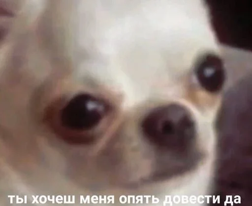 🤪 Стикер «Outrageous» для Telegram