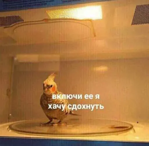 😌 Стикер «Outrageous» для Telegram