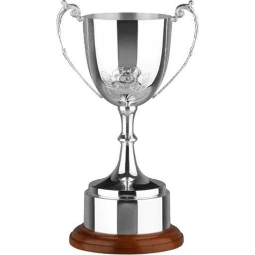 🏆 Стикер «Trophy Congrats» для Telegram