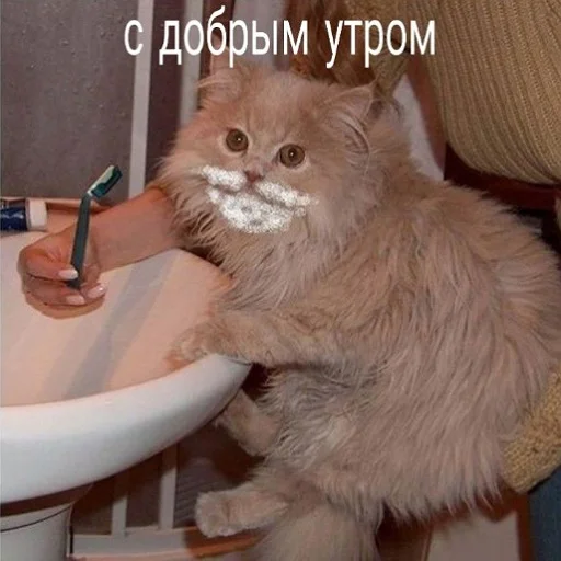 🌞 Стикер «Trash bin» для Telegram