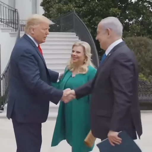 🤝 Стикер «Trump & Biden» для Telegram