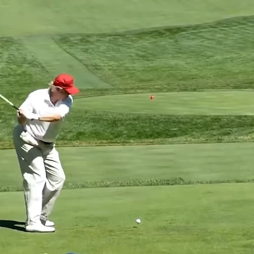 🏌‍♂ Стикер «Trump & Biden» для Telegram