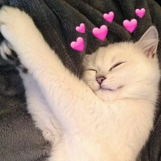 💕 Стикер «~ TSE LIUBOV ~» для Telegram