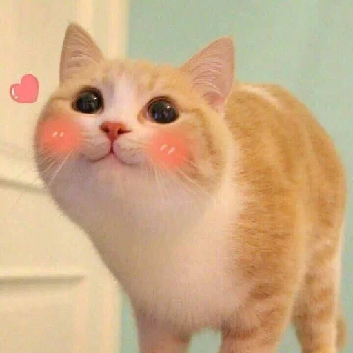☺️ Стикер «~ TSE LIUBOV ~» для Telegram