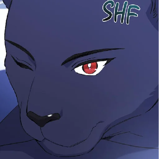 😉 Стикер «The Symbiotic Relashionship between a rabbit and a black panther» для Telegram