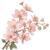 🤩 Эмодзи «Цветы» для Telegram