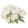 🤩 Эмодзи «Цветы» для Telegram