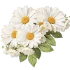 🤩 Эмодзи «Цветы» для Telegram