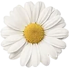 🤩 Эмодзи «Цветы» для Telegram